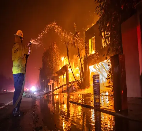 Ways To Help Wildfire Victims Los Angeles 1